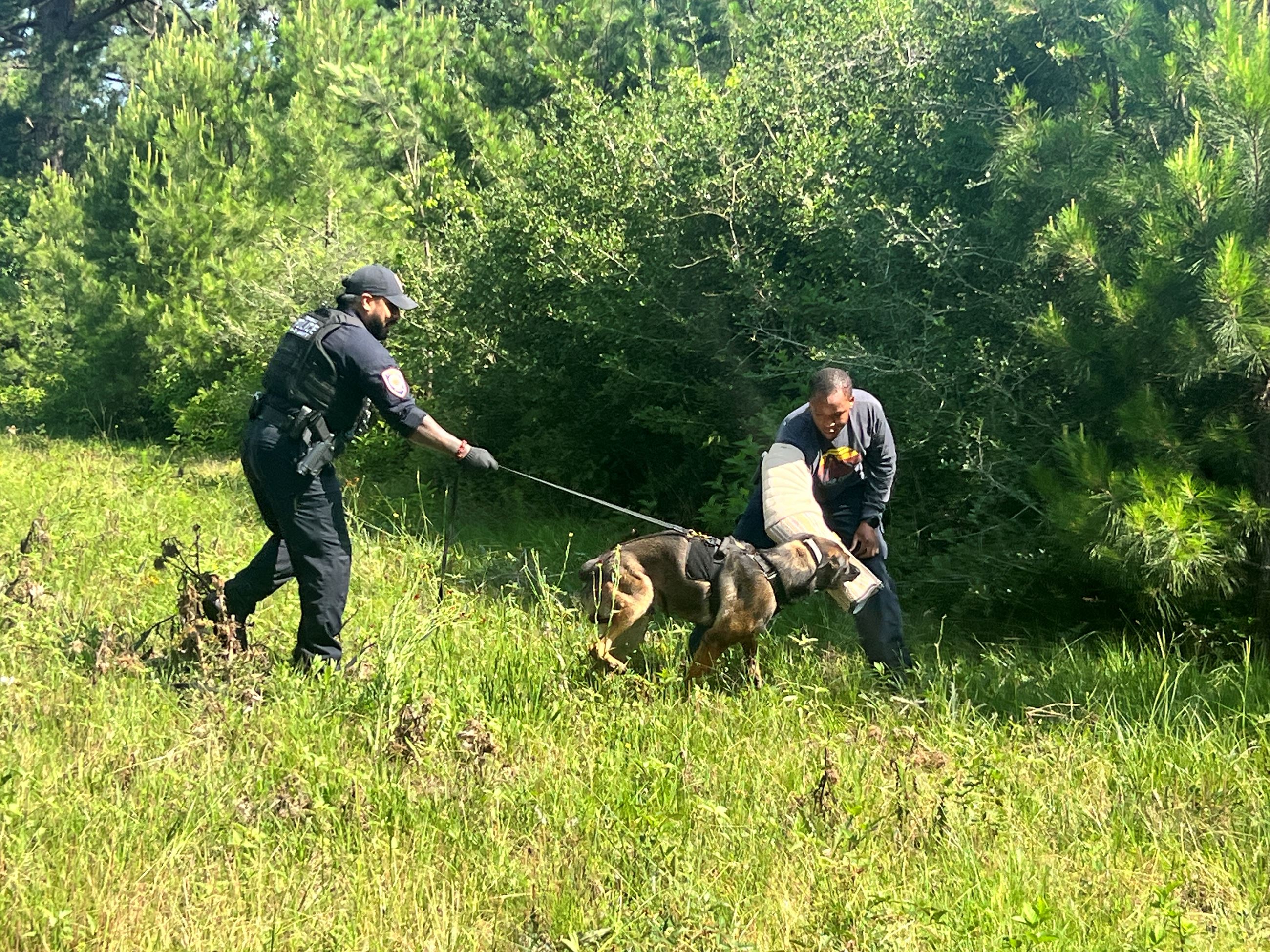 Tomball PD k9 unit searching for subject
